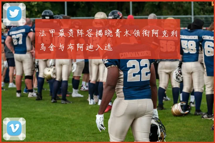 法甲最贵阵容揭晓青木领衔阿克利乌舍与布阿迪入选