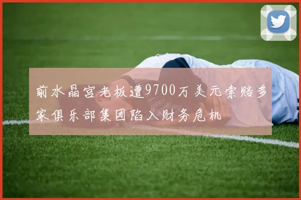 前水晶宫老板遭9700万美元索赔多家俱乐部集团陷入财务危机