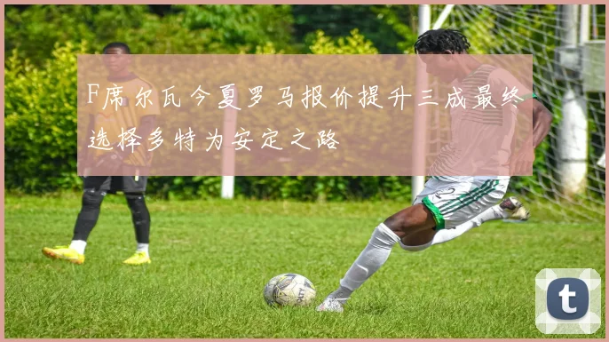 F席尔瓦今夏罗马报价提升三成最终选择多特为安定之路