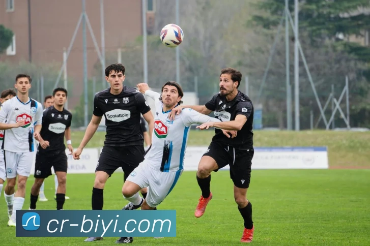 必一运动平台生态图