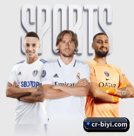 必一运动 APP（BSports）